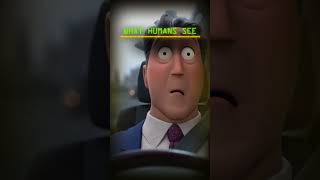 what animals see vs what humans see